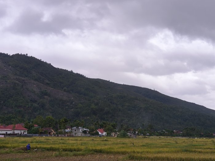 Melepas Penat, Siswa Rasakan Ketenangan Alam Pedesaan di Libur Akhir Pekan
